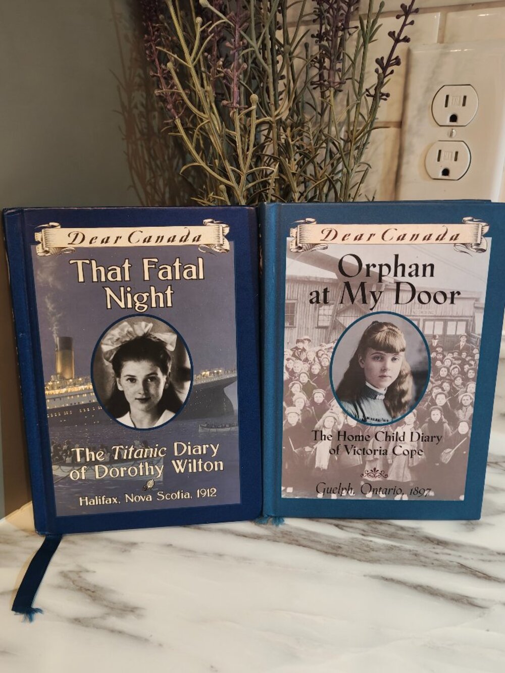 Dear Canada 2 Book Set – That Fatal Night Titanic & Orphan at my Door Home Child